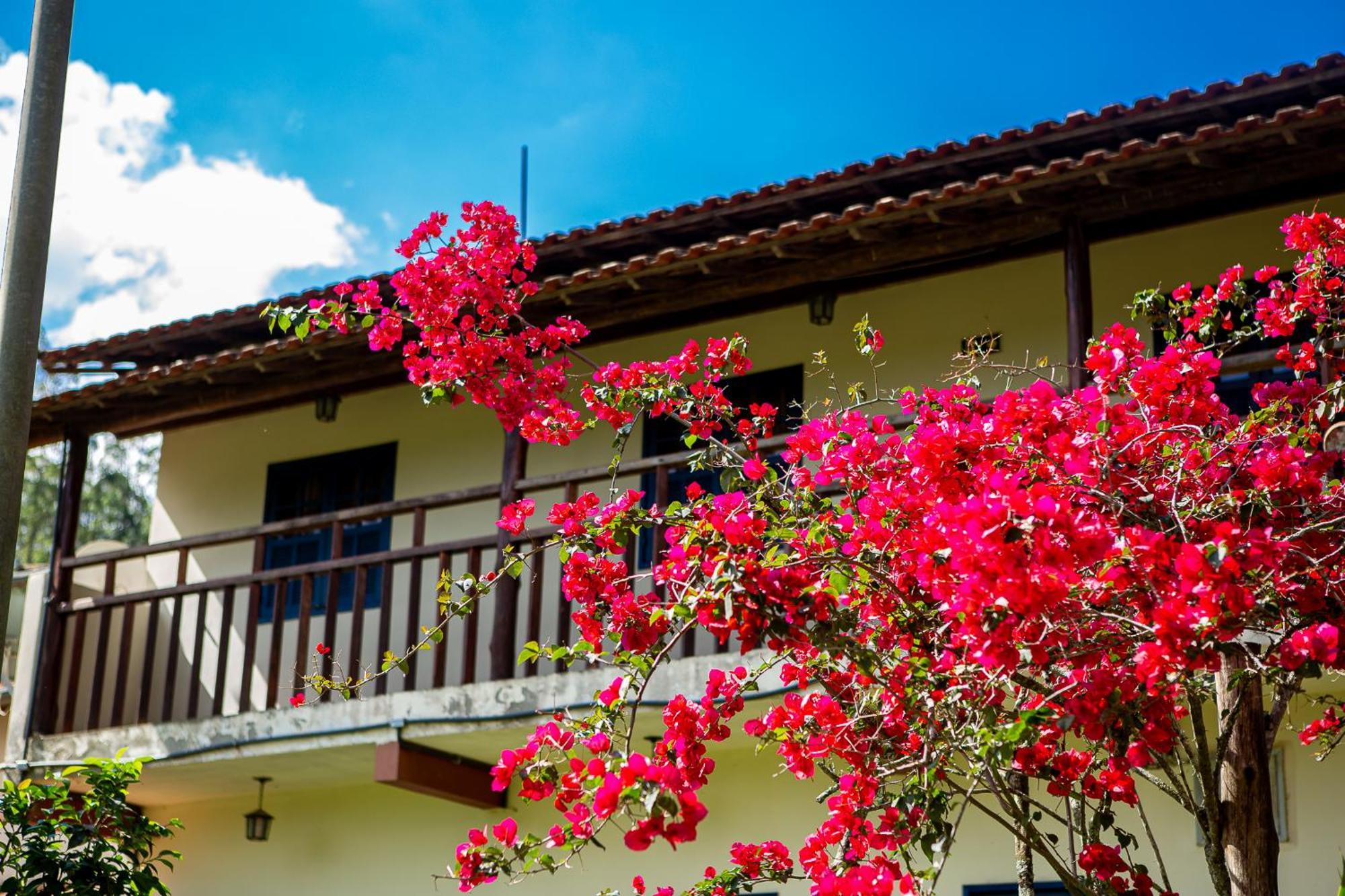 Fazenda Hotel Alvorada Santos Dumont Εξωτερικό φωτογραφία